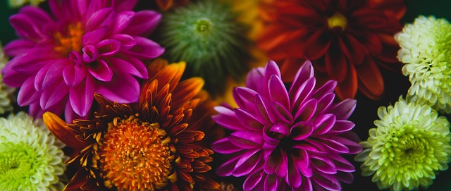 仅助推了他 仅助推了他