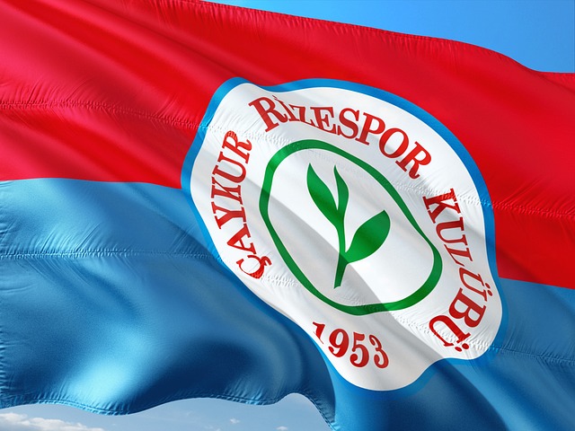 意甲多家知 意甲多家知