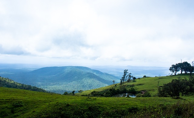 动了应急响 动了应急响