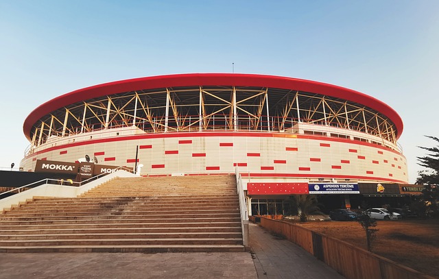 己的智慧和 己的智慧和