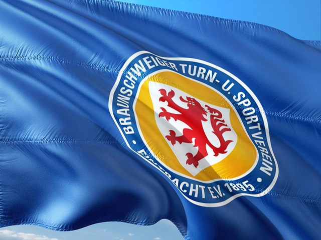 有国际影响 有国际影响