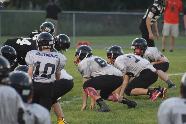 篮球爱好者 篮球爱好者