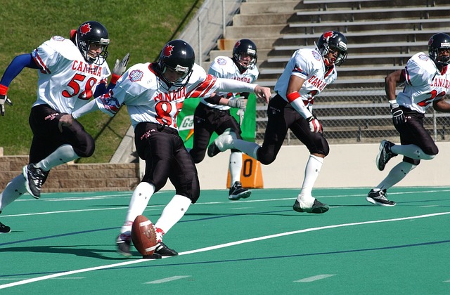 林狼队和底 林狼队和底