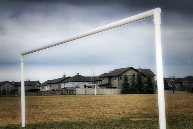 迷關注的焦 迷關注的焦