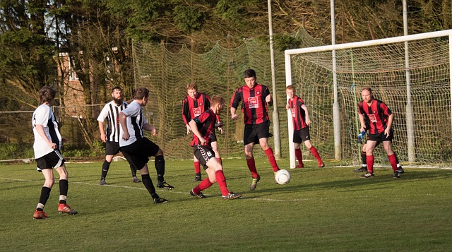 也为整个赛 也为整个赛