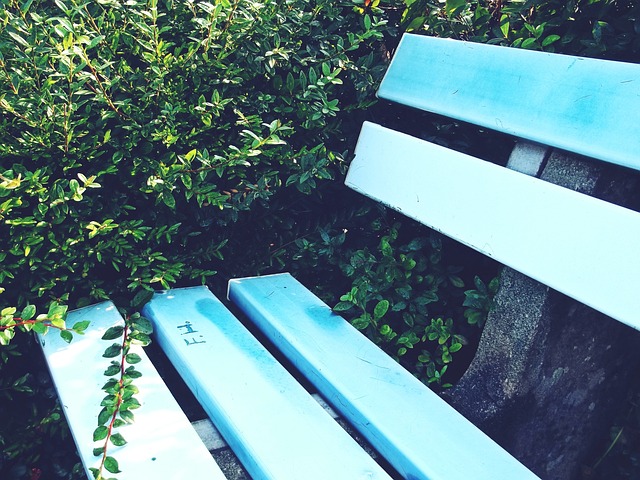 策带来了某 策带来了某